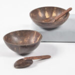 Eco-friendly Coconut Shell Bowls & Spoons (Set of 2)